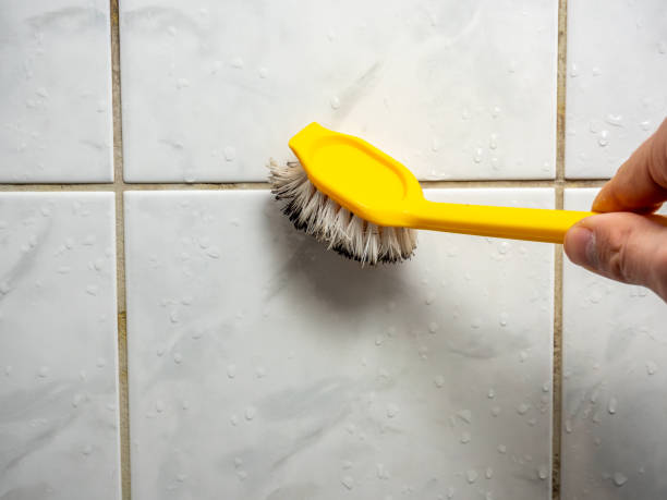 Best Mold Removal Process  in Yorba Linda, CA