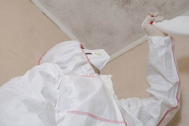 Certified Mold Removal in Yorba Linda, CA