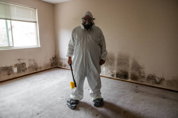 Best Mold Removal Company Near Me  in Yorba Linda, CA